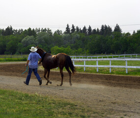 Man in white cowboy hat leading a brown horse off a racetrack at a town fair