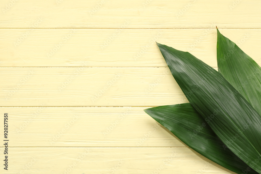 Wall mural green tropical leaves on yellow wooden background