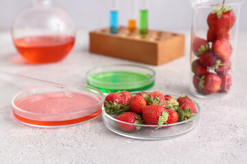 Professional laboratory glassware with samples and strawberries on table near grey wall