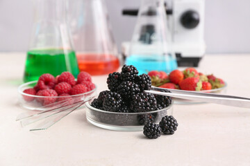Professional laboratory glassware with berries in Petri dishes, samples and microscope on table near grey wall