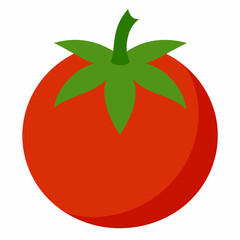 Tomato icon vector art Illustration 
