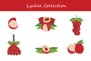 lychee collection. lychee in different poses. Vector illustration.