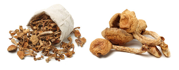 dried mushroom on white background