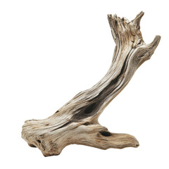 PNG Driftwood piece from coastal setting