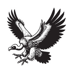 Obraz premium Vulture silhouette, Vulture Bird clipart, Vulture in Mid Flight with Extended Wings illustration 