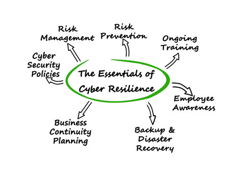 The Essentials of Cyber Resilience