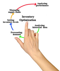 Five Components of  Inventory Optimization