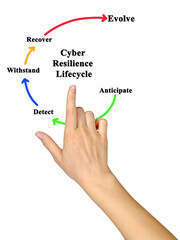 Components of Cyber Resilience Lifecycle