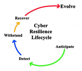 Components of Cyber Resilience Lifecycle