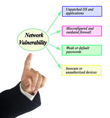 Four Causes of Network Vulnerability