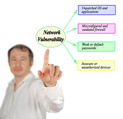 Four Causes of Network Vulnerability