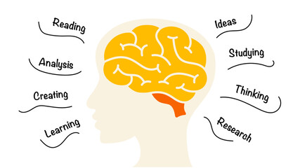 Human Brain Infographic. Education Concept. Creative thinking illustration. Generating Ideas Brainstorm. Doodle Medical Concept. Psychology Mental Health. Scientific Research. Abstract Background.