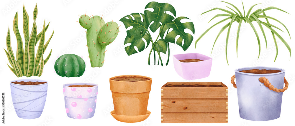 Wall mural Explore a selection of potted plants and stylish pots to enhance your home and garden decor