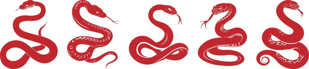 Set of red snake zodiac year. Chinese character with snake illustration for New Year