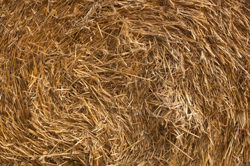 Hay background. Haystacks background, texture. Hay prepared for farm animal feed in winter. Haybale background.