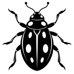 state potato beetle