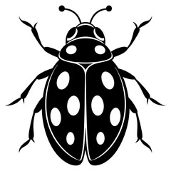 illustration of a ladybug