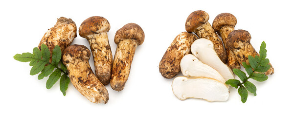 some fresh wild matsutake mushrooms on white background.