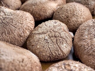 신선한 유기농 채소 표고버섯 