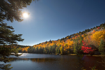 Vibrant fall foliage with a sun flare on Lake Solitude.