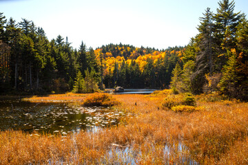Swamp colors on Lake Solitude on Mount Sunapee in autumn.
