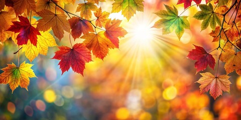 Warm sunlight filtering through colorful autumn leaves , autumn, sunlight, warm, foliage, nature, golden, trees, vibrant, seasonal