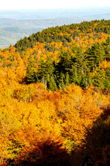 Fototapeta premium View of fall foliage on Mount Sunapee in New Hampshire.