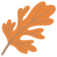 Hand drawn autumn leaf 