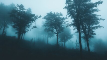 Misty Forest