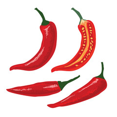 Pepper chilli in Hand-drawn style set. Drawing of food elements for design menu label packaging . icons vector illustration