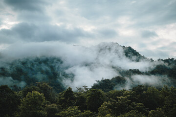 In the morning, the mountain landscape is veiled in a misty fog, with clouds drifting across the sky, while a solitary tree stands tall, embracing nature's serene beauty.