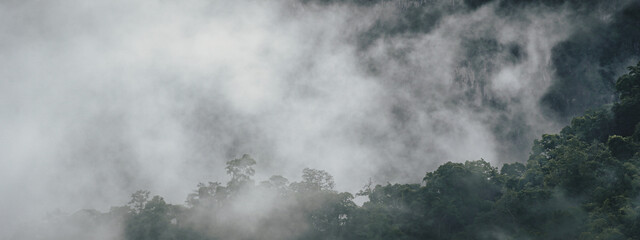 Obraz premium panorama banner background of tropical forest landscape the mountain landscape is veiled in a misty fog, with clouds drifting across the sky, while a solitary tree stands tall.