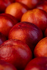 a large number of ripe soft nectarine fruits on the table