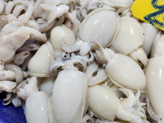 Close up of fresh squid seafood