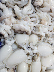 Close up of fresh squid seafood