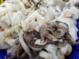Close up of fresh squid seafood