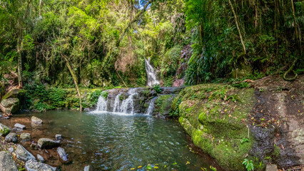 Elabana Falls, a secluded waterfall in Lamington National Park, Queensland, is a lush, rainforest retreat along the Toolona Creek circuit, Australia