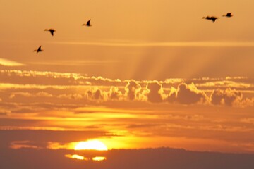 sunset over the sea