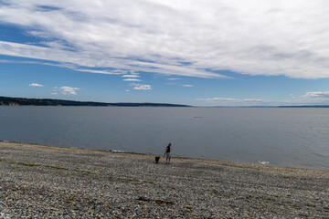 Person walking a dog along a pebbled beach with a vast blue sky