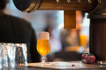 Refreshing craft ale beer in tulip glass with big head in a bar