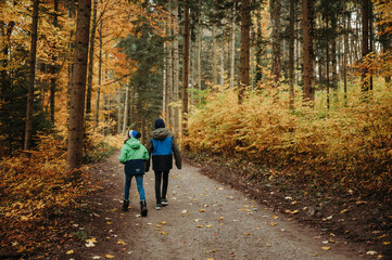 Obraz premium Two brothers walking together in a forest in autumn