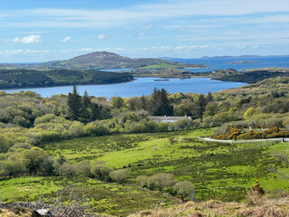 Lush green countryside in Ireland