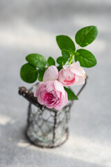Vase with beautiful roses in interior
