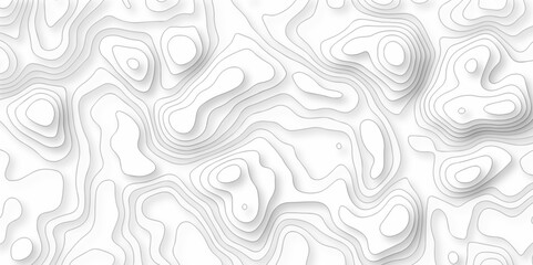 Vector black and white topography wave  lines curve Topo grid map. white wave line geography landscape Topo contour map on white background. Geographic mountain relief diagram line pattern.