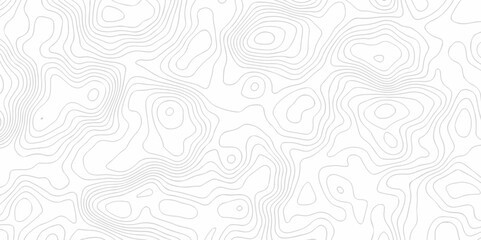 Vector white and black wave curve Topography grid map. white wave line geography landscape Topo contour map on white background. Geographic mountain relief diagram line pattern.