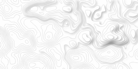 Vector black wave curve Topography grid map. white wave line geography landscape Topo contour map on white background. Geographic mountain relief diagram line pattern.