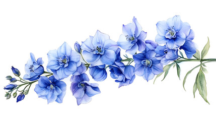 A beautiful watercolor illustration of blue flowers arranged elegantly.