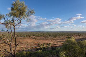 A huge flat plain of mulga scrub and trees and eroded sand with a blue sky with cumulus clouds background as seen from The Bluff a 50metre hill near Yowah in Queensland, Australia.