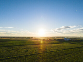 sunrise over the field