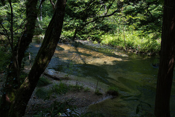 Fototapeta premium 上高地の風景
